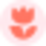 Flowwow